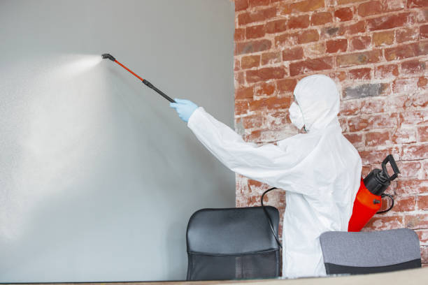 Best Mold Documentation for Insurance Claims  in Leland, MS