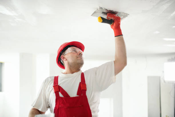 Best Post-Remediation Verification Testing  in Leland, MS