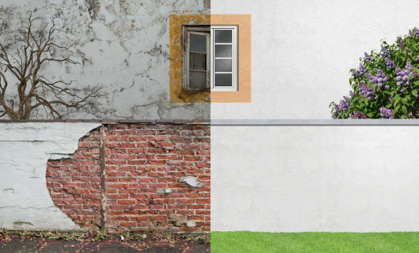 Mold Documentation for Insurance Claims in Leland, MS