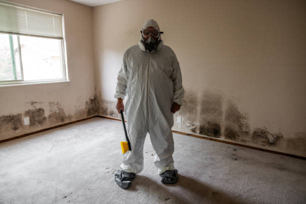 Best Mold Damage Restoration  in Leland, MS