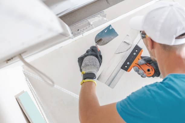 Best Air Quality Testing for Mold Spores  in Leland, MS